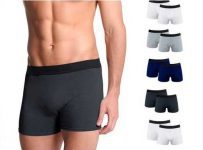Kit com 10 Cuecas Boxer Basic Lisa Sortidas – Polo Match