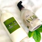 Conjunto Polpa Desodorante Hidratante Corporal Ekos Andiroba