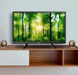 TV PHILCO 24″ TV PTV24G50DCH LED HD
