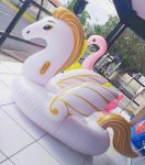 Boia Pégasus M
