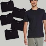 Kit 5 Camisetas Masculinas Básicas Slim – Hering