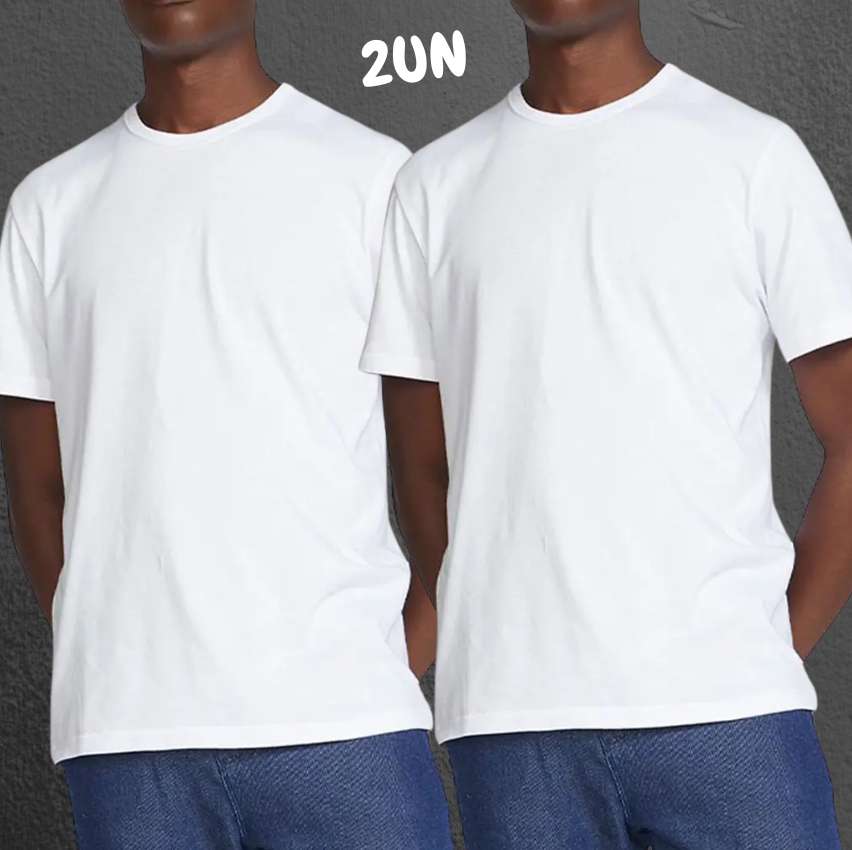 Kit Com 2 Camisetas Masculinas Básicas - Hering - Adoro Promoção