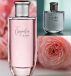 Biografia Inspire Desodorante Colônia Masculino ou Feminino 100ml