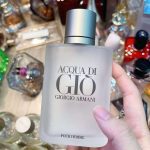 Acqua Di Giò Homme Giorgio Armani Masculino Eau de Toilette 100ml
