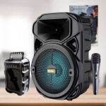 Caixa De Som Portátil Amplificada Bluetooth Karaokê Usb Mic