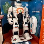 Robô Inteligente Zig Ensina Inglês 25 Funções – Polibrinq