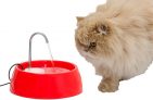 Fonte para Gatos Aqua Mini Bivolt Vermelha Amicus