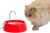 Fonte para Gatos Aqua Mini Bivolt Vermelha Amicus