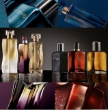 Deo Parfum Essencial Feminino ou Masculino – 100ml