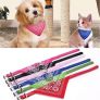 Coleira Bandana Gato/Cachorro Filhote – Coleira Para Gato – Coleira Cachorro