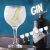 Conjunto de Taças 570ml Gin Tônica Bohemia 6 peças Nadir