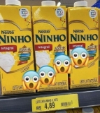 LEITE INTEGRAL NINHO 1L