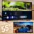 Smart TV 55” 4K QLED Samsung 55Q60AA – Wi-Fi Bluetooth HDR 3 HDMI 2 USB