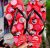 Chinelo Slim Disney, Havaianas, Feminino