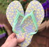 Chinelo Fantasia Romântica, Havaianas, Feminino