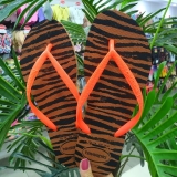 Chinelo Havaianas Slim Animals feminino