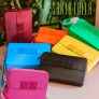 Bolsa Santa Lolla Clutch Feminina