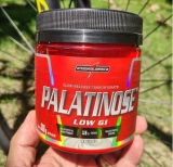 Palatinose 300G, Integralmedica