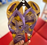 Chinelo Havaianas Conservaçao Internacional