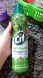 Limpador de Uso Geral Perfumado Energizante Óleo de Eucalipto e Maçã Verde Cif Perfumes Frasco 450 ml