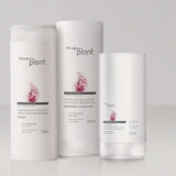 Conjunto Plant Hidratação Reparadora com Creme de Pentear