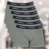 Kit com 6 Cuecas Zorba Boxer Max