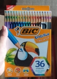 Lápis de Cor Sextavado BIC Evolution, 36 Cores Vivas e Intensas, Seguro para Crianças, 930230, Blister 1 Unidade