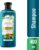 Shampoo Herbal Essences Bio:Renew Óleo de Argan – 400ml