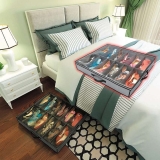 Organizador para 12 pares de calçados com tampa transparente, CST7993, Euro Home
