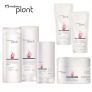 Linha PLANT NATURA com até 40% OFF + Cupom de 15%