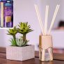 Coala Difusor De Aromas 100Ml Lavanda
