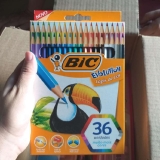 Lápis de Cor Sextavado, BIC, Evolution, 36 Cores