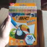 Lápis de Cor Sextavado, BIC, Evolution, 36 Cores