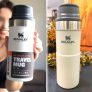 Stanley Mug Term, Ash, 354 ml