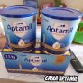 Fórmula Infantil: Aptabox Aptamil Premium 1 1,5 kg – 0-6 meses