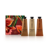 Presente Natura Ekos Cremes para Mãos